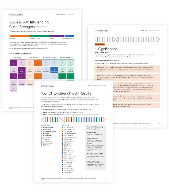 Image of Assessment pages